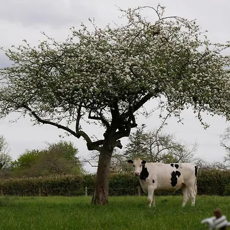 Σπίτι διακοπών Le 7 De Coeur, Baie Mont St Michel Dragey