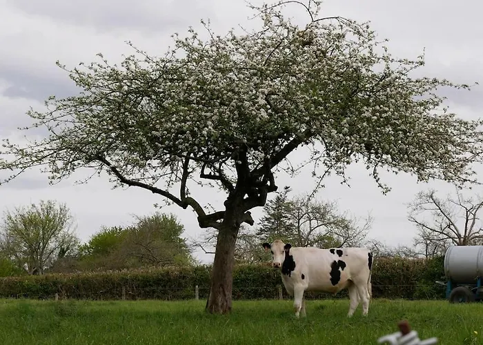 Tatil Evi Le 7 De Coeur, Baie Mont St Michel Dragey